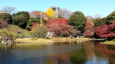 🌳 고이시카와 식물원